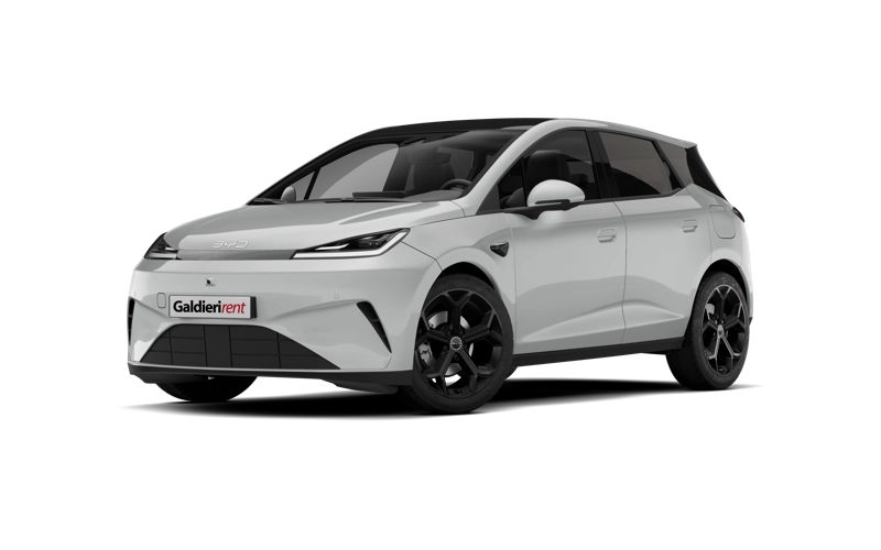 BYD DOLPHIN G