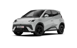 BYD DOLPHIN SURF