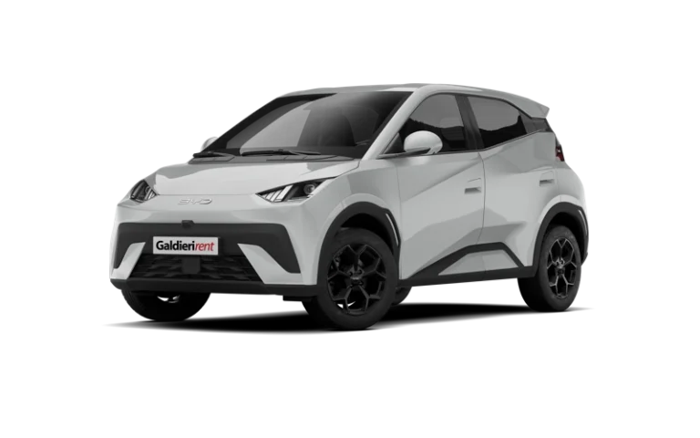 BYD DOLPHIN SURF 30 kWh Active