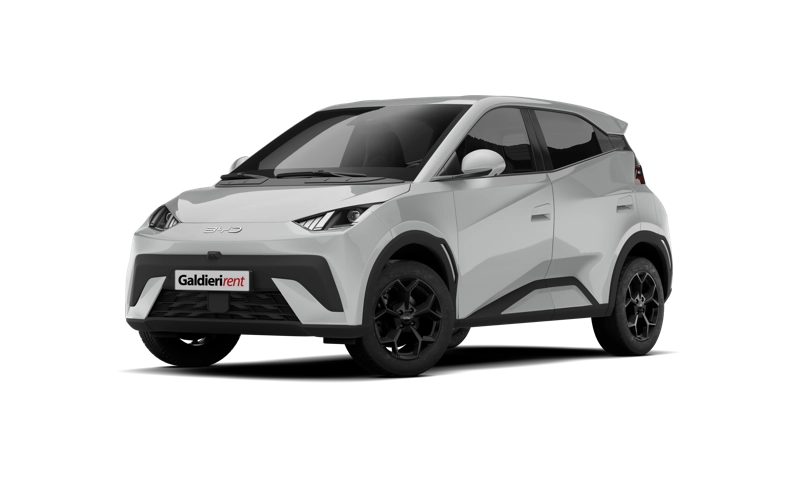 BYD DOLPHIN SURF